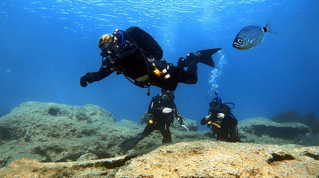 aquaventure malta Lee diving