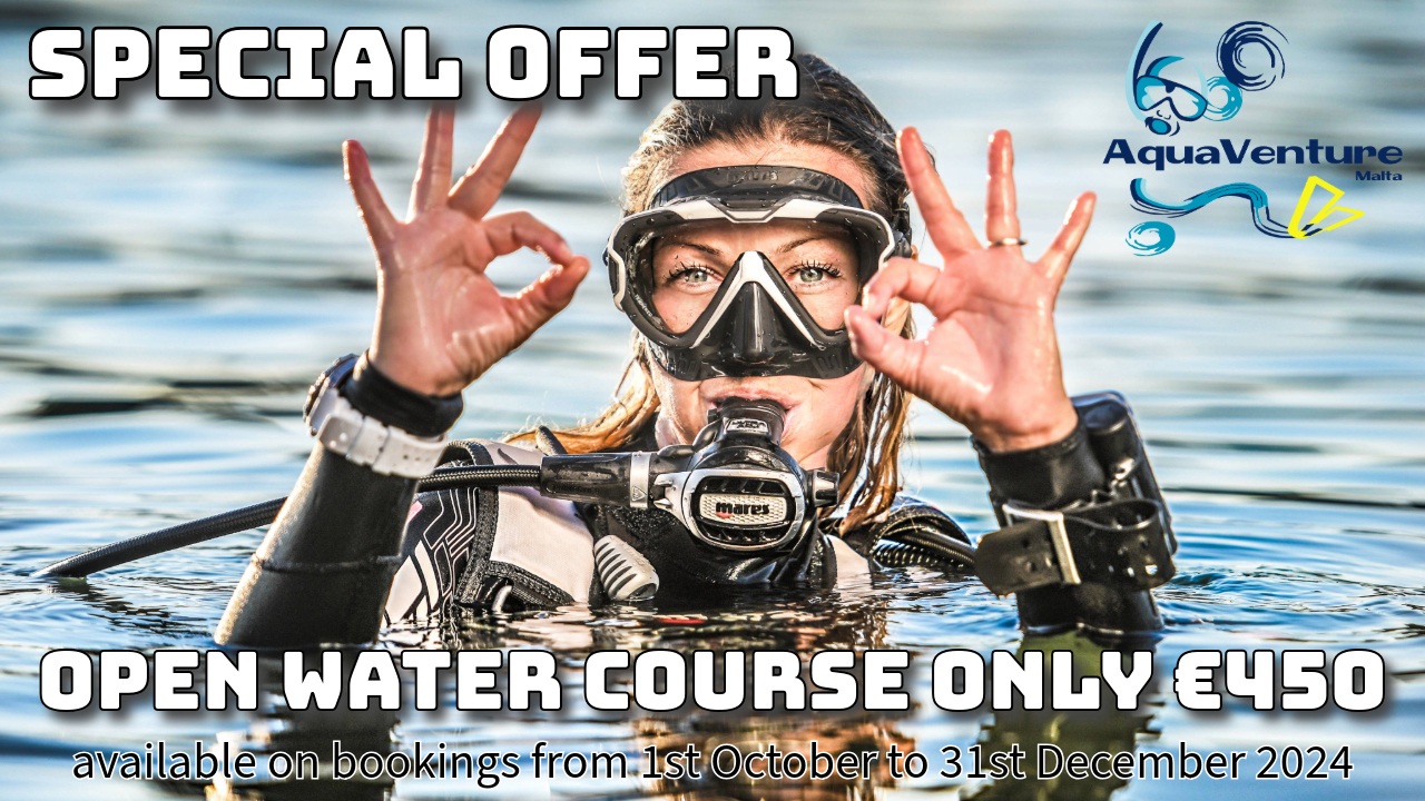 Open Water course special offer 2024