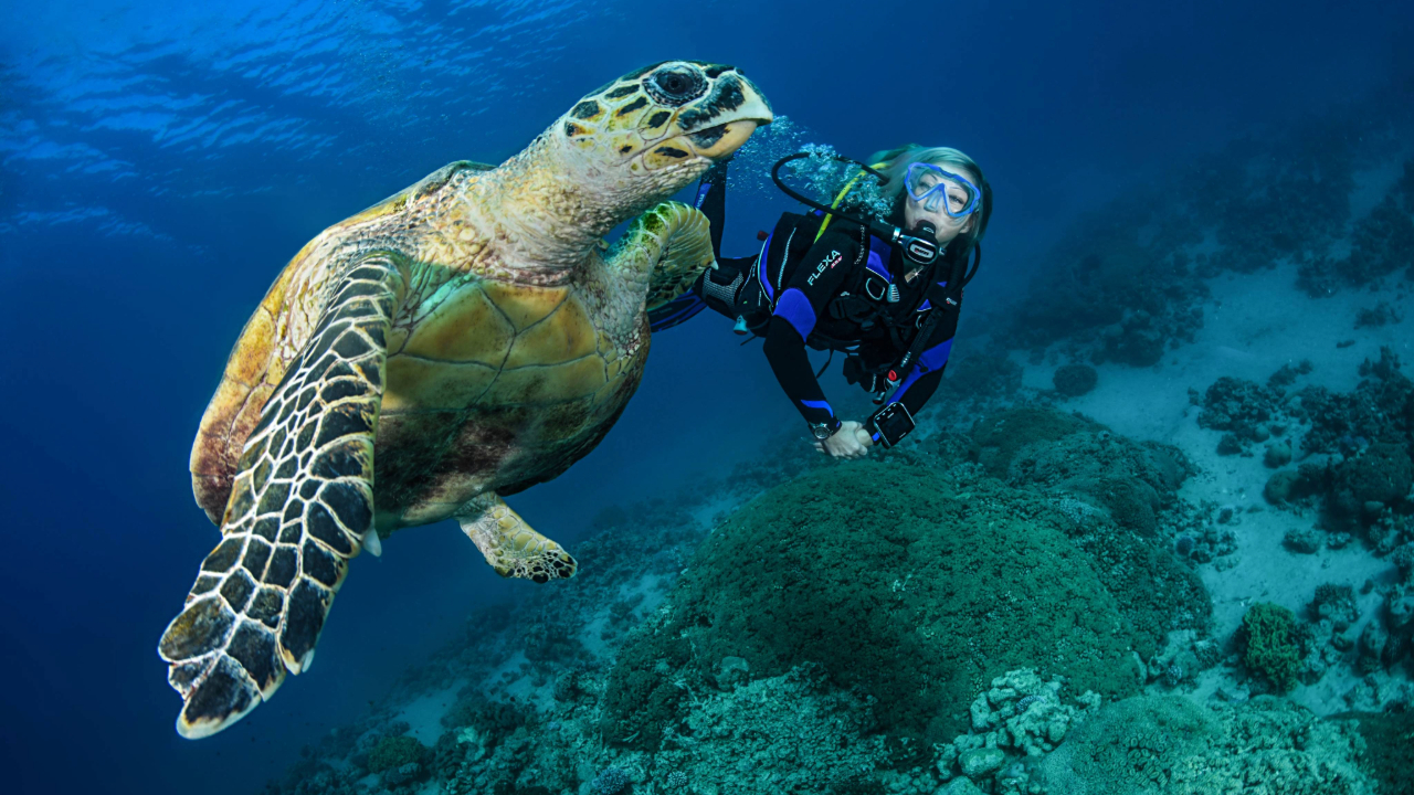 Perfect Buoyancy Page