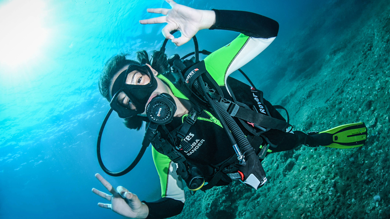 Scuba Diver Page